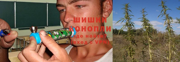 прущая мука Семёнов