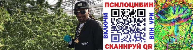 Галлюциногенные грибы Cubensis  Североморск 