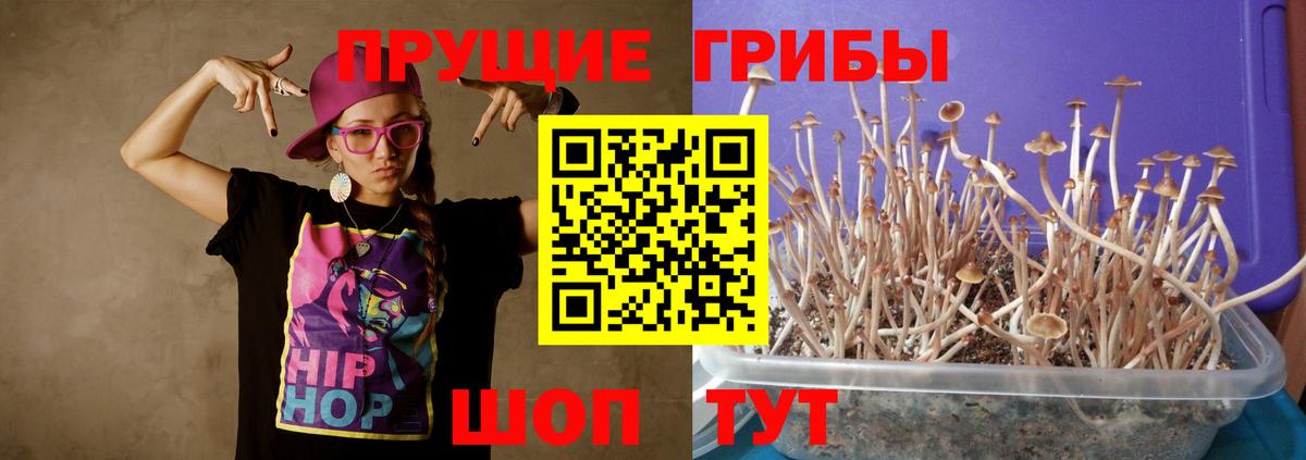 Галлюциногенные грибы Cubensis  Вход с VPN  Североморск  Псилоцибиновые грибы прущие грибы 