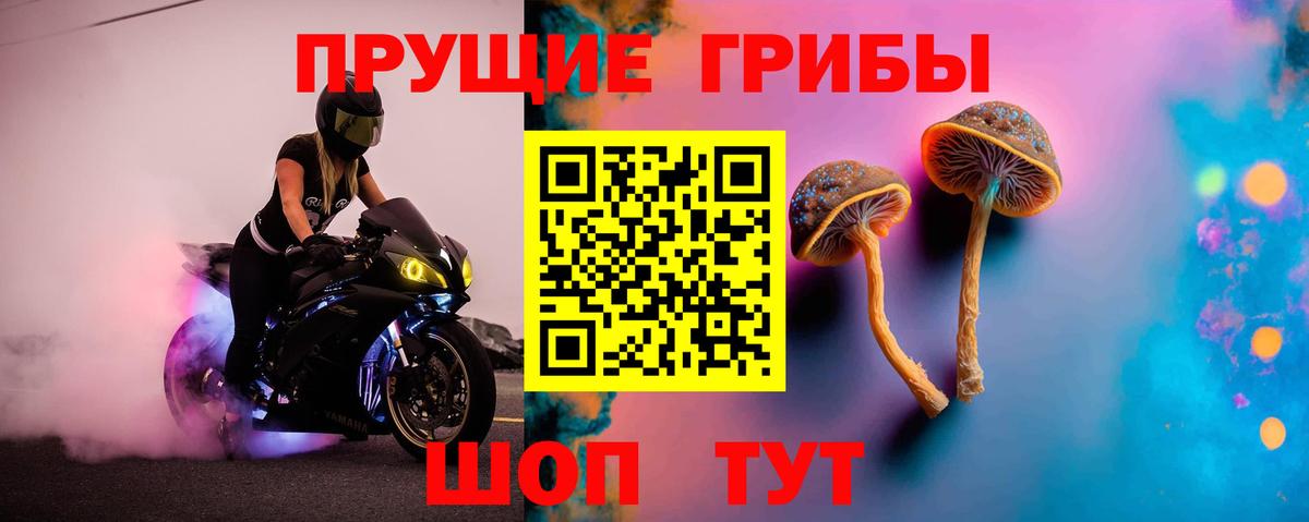 Галлюциногенные грибы прущие грибы Североморск